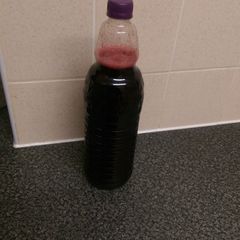 A picture of Sorrel or Hibiscus or Zobo Drink.