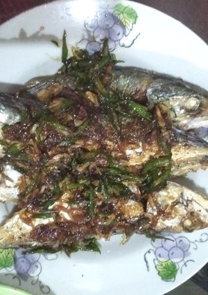 Foto resep Ikan tumis cabe hijau