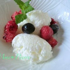 A picture of No Need to Stir! Frozen Yogurt.