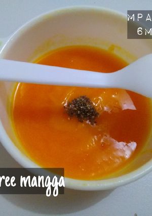 Foto resep Puree Mangga MPASI 6 Bulan