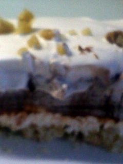 A picture of chocolate cream squares.