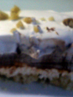 A picture of chocolate cream squares.