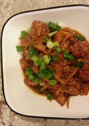 A picture of Ga Kho Gung (Braised Ginger Chicken).