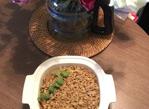 Una foto de Pavo Molido con Champiñones al Vino