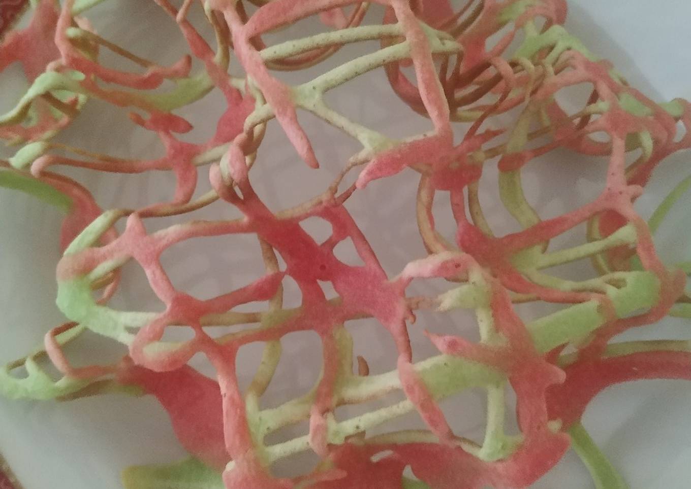 Jaring laba / sarang burung kue cubit