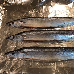 A picture of Sanma 🐟 no Shio Yaki with Daikon Oroshi.