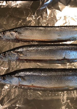 A picture of Sanma 🐟 no Shio Yaki with Daikon Oroshi.