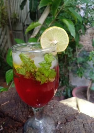 A picture of Hibiscus flower Mojito.