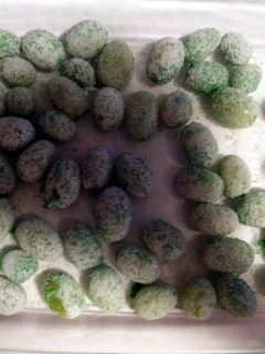 A picture of sour patch grapes.