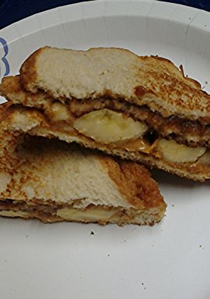 A picture of Apple butter peanut butter cashew butter banana sandwich.