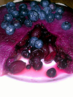 A picture of Sig's Summer & Autumn Berry Pudding.