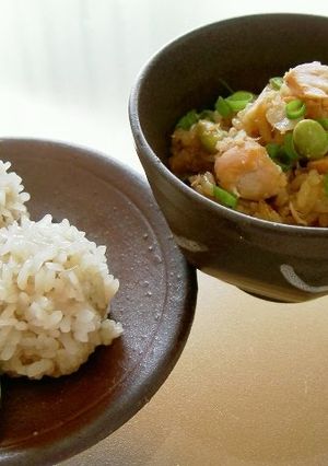 A picture of Shumai Dumplings and Okowa Rice in One Rice Cooker.