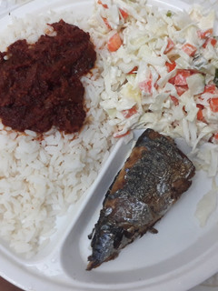 A picture of Rice and stew with coleslaw and fried fish.