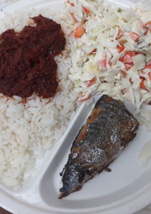 A picture of Rice and stew with coleslaw and fried fish.
