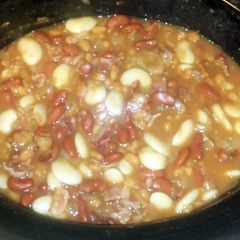 A picture of Bees knees beans.