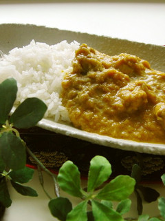 A picture of Easy Tandori Flavored Chicken Curry.