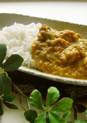 A picture of Easy Tandori Flavored Chicken Curry.