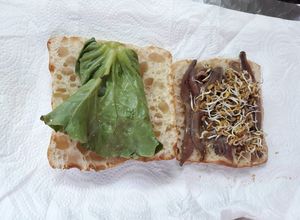 Foto principal de Bocadillo de lechuga, anxoas y fenogreco germinado