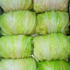 A picture of Healthy Chinese Cabbage Rolls with Tofu.