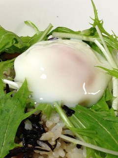 A picture of Microwaved Easy Poached Egg.