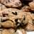 White Chocolate Cranberry Cookies