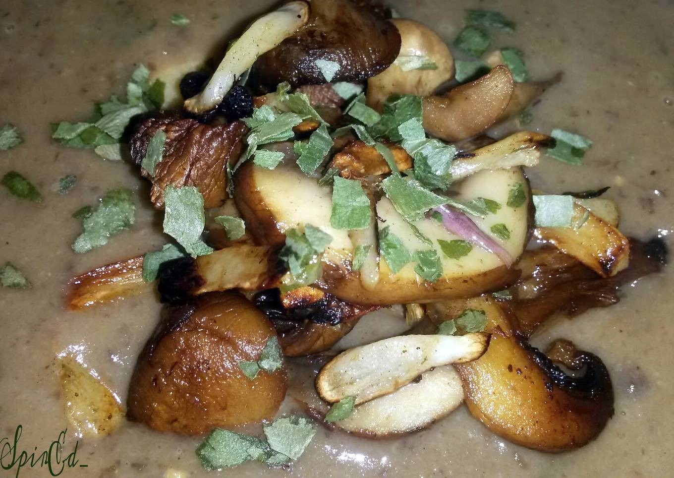 Sig's Cream of Puy Lentil,Garlic and Porcini Mushroom soup