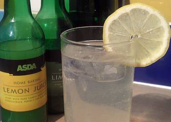 Easy Cooking Recipe Vickys Homemade Sprite Cream Soda and Cola GF DF EF SF NF Delicious Simple