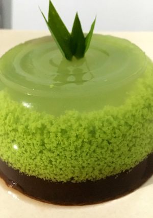Foto resep 10. Puding Lumut Coklat