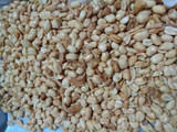 Kacang Bawang