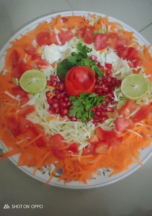 ગ્રીન સલાડ (Green Salad Recipe In Gujarati) રેસીપી મુખ્ય ફોટો