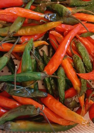 عکسی از دستور فلفل خونگی🌶
