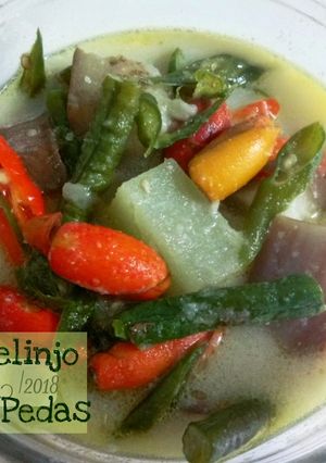 Foto resep Kulit Melinjo* Santan Pedas #BikinRamadanBerkesan #20