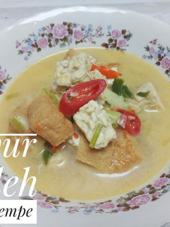 Foto resep Sayur lodeh tahu tempe