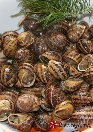 A picture of Hohlioi boubouristoi (snails in the skillet).