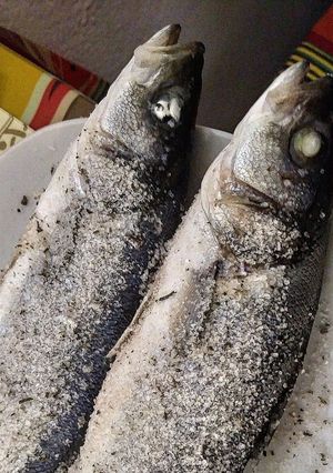 Foto di Spigola al Sale cotta al microonde
