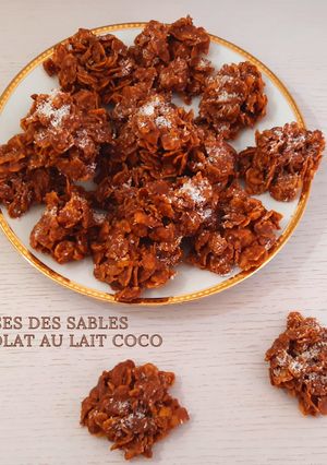 Une photo de ROSES DES SABLES CHOCOLAT AU LAIT – NOIX DE COCO