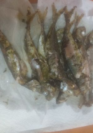 Una foto de Chicharros adobados y fritos