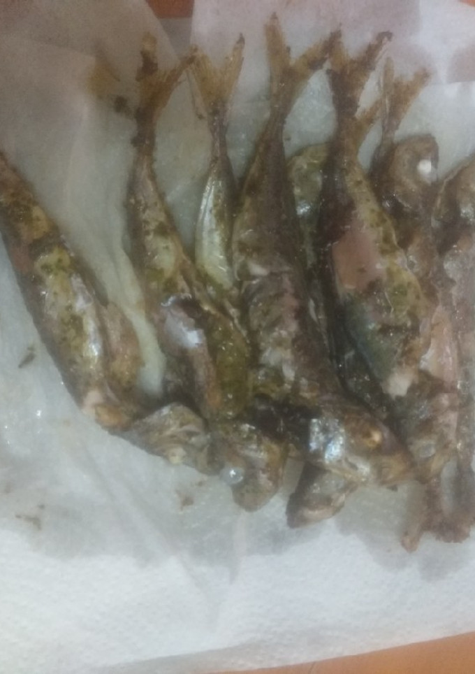 Una foto de Chicharros adobados y fritos