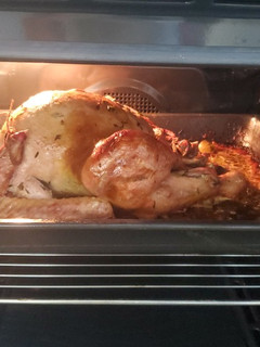 Una foto de Pavo al horno!