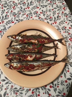 A picture of Mackerel roasted in tomato sauce.