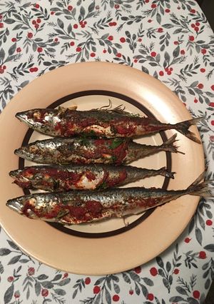 A picture of Mackerel roasted in tomato sauce.