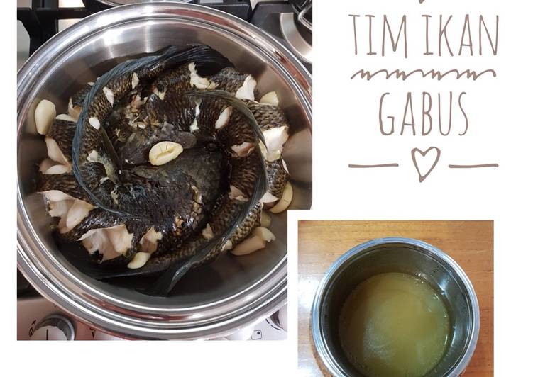 Tim Ikan Gabus