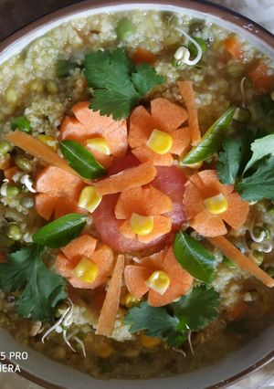 A picture of Sprout moong daliya with mixed vegetables.
