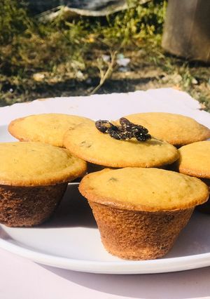 A picture of Muffins.
