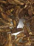 Homemade biltong