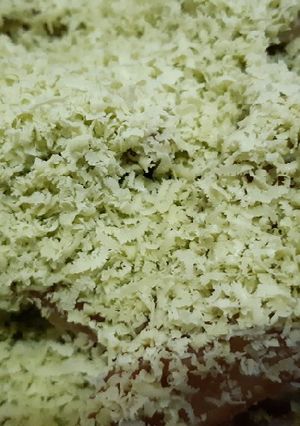 Foto resep Pisang goreng greentea keju special