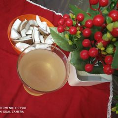 A picture of Coco Fizz.