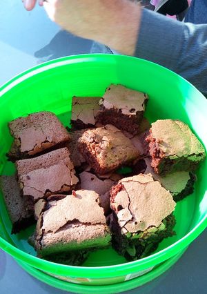 A picture of Brownies - Gluten, wheat and dairy free.