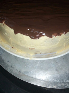 A picture of Cocoa vanilla cake.