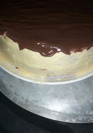 A picture of Cocoa vanilla cake.